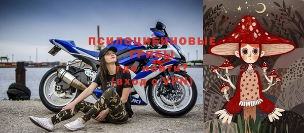 гашик Няндома